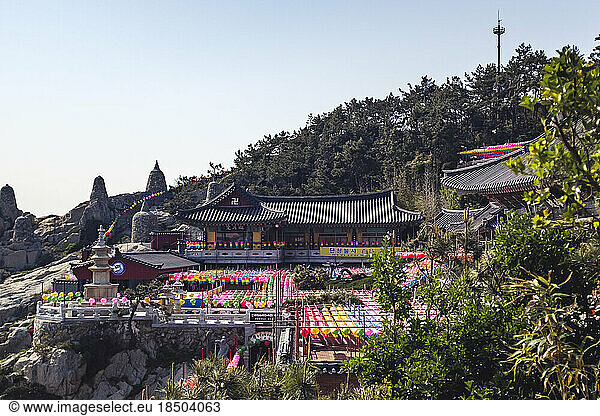 Laterns at Haedong Yonggungsa Temple in Busan  South Korea
