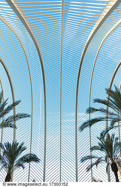 Lattice cover in palm tree garden of the 'Umbracle' in Valencia
