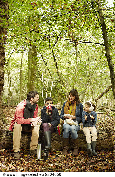 Laubwald sitzend Picknick Menschliche Eltern Herbst 2 Buche Buchen
