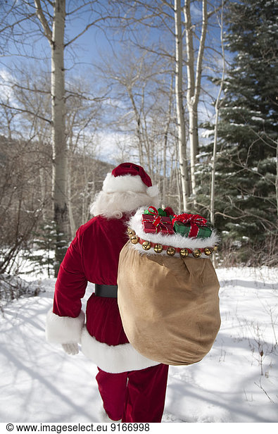 Laubwald tragen Schnee Weihnachtsgeschenk