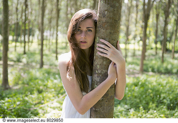 Laubwald  umarmen  Baum  Baumstamm  Stamm  Phuket  Mädchen