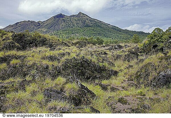 Lava field and caldera on Mount Batur  Gunung Batur  active volcano in the Bangli Regency  Bali  Indonesia  Asia