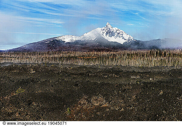 Lava flow  bare trees within the Willamette National Forest and snowcapped Mount Washington.