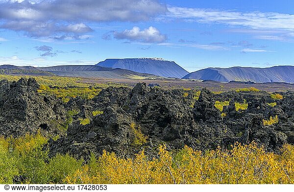 Lavafeld Dimmuborgir und Tuffring Ludent  Myvatn  Norðurland eystra  Island  Europa