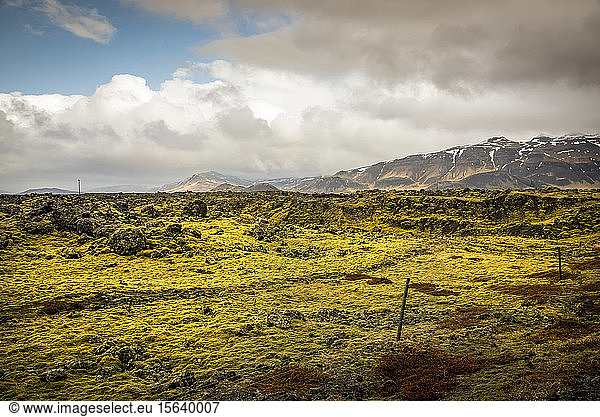 Lavafelder mit Moos auf vulkanischem Gestein; Island