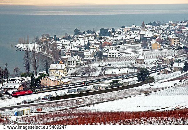 Lavaux vineyards in winter  Geneva Lake  Swiss Riviera  canton Vaud  Switzerland