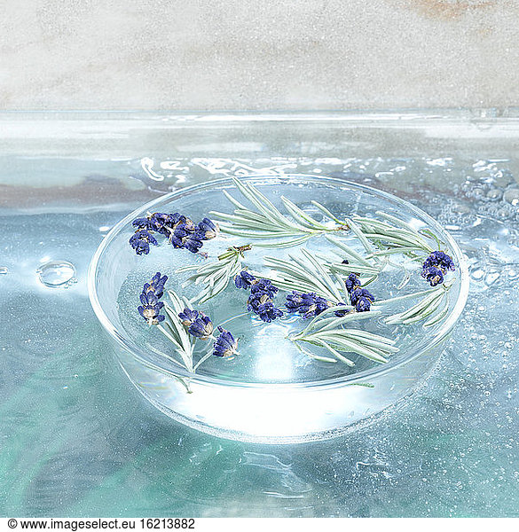 Lavender blossoms in glass bowl  close-up