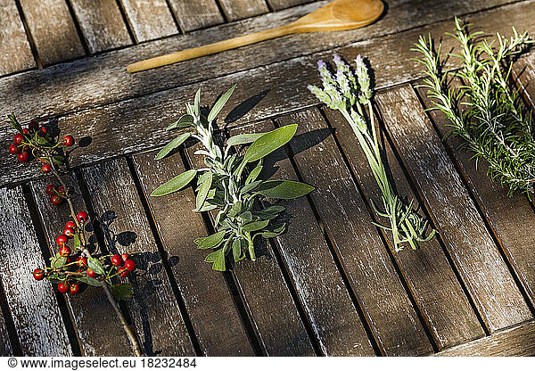 Lavender plant with rosemary and cranberry on table