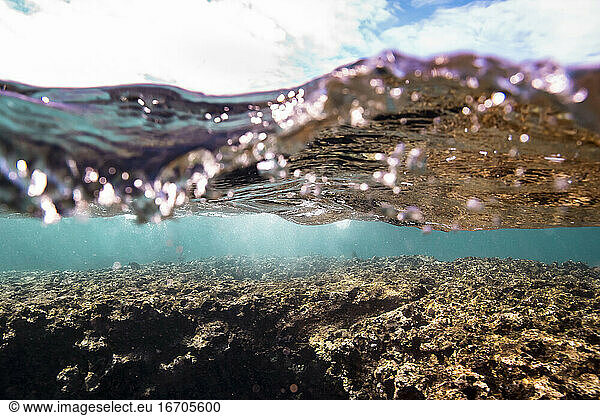Layers of coral  ocean and sky in oahu  hawaii