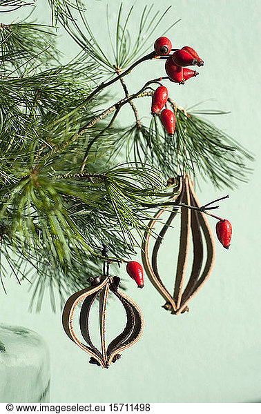 Leather Christmas ornaments on pine twig with red rosehips