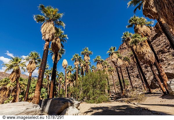 leer Felsen Kontrast Landschaft Wüste Indianer Öde Kalifornien Schlucht Reservat