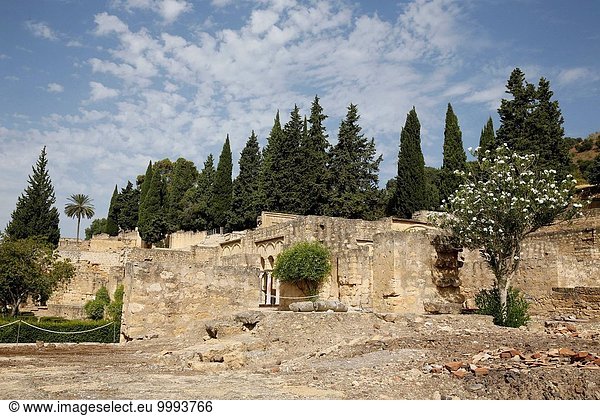 leer Mittelalter Großstadt Ruine Palast Schloß Schlösser Entdeckung bauen befestigen Islam Spanien
