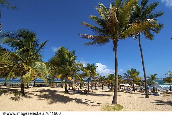 leer  Strand  Küste  niemand  Meer  Karibik  Puerto Rico  Sandstrand  Antillen  Große Antillen  Palmenstrand  San Juan
