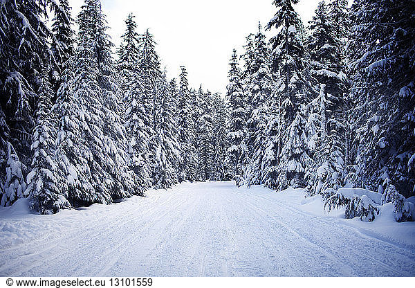 Leere Straße im Winter