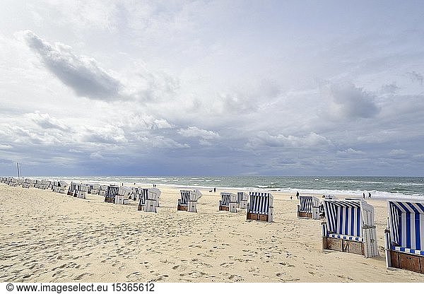 Leere Strandkörbe am Sandstrand  Nachsaison  Kampen  Sylt  Nordfriesische Inseln  Nordfriesland  Schleswig-Holstein  Deutschland  Europa