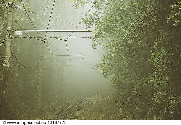 Leere Waldeisenbahnstrecke bei Nebel  Corcovado  Rio de Janeiro  Brasilien