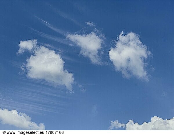 Left right Small fleecy clouds  Cirrocumulus clouds  Cirrocumulus clouds  in the background above them Cirrus feather clouds  Cirrus clouds  Cirrus clouds  Germany  Europe