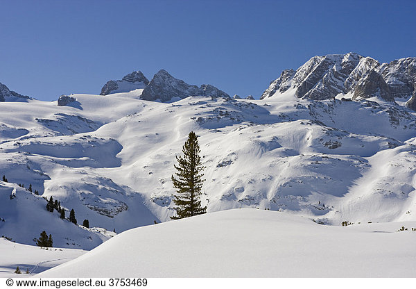 Left to right: Mt. Hoher Dachstein  Mt. Niederer Dachstein and Mt. Schoeberl  Dachstein Massif  Styria  Austria  Europe