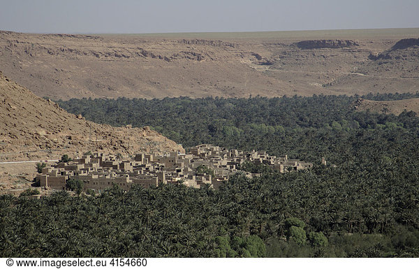 Lehmdorf grenzt an eine Oase am Rande des Hohen Atlas  Ziz-Tal  Marokko