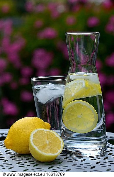 Lemon water in carafe and lemons  Germany  Europe