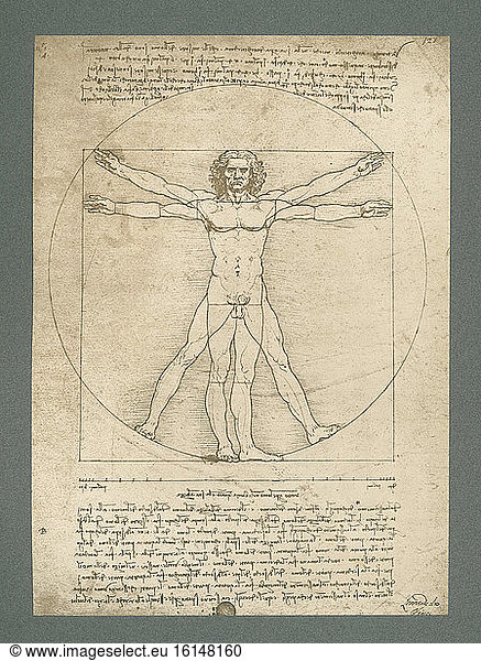 Leonardo da Vinci  proportions of the human figure after Vitruvius / facsimile