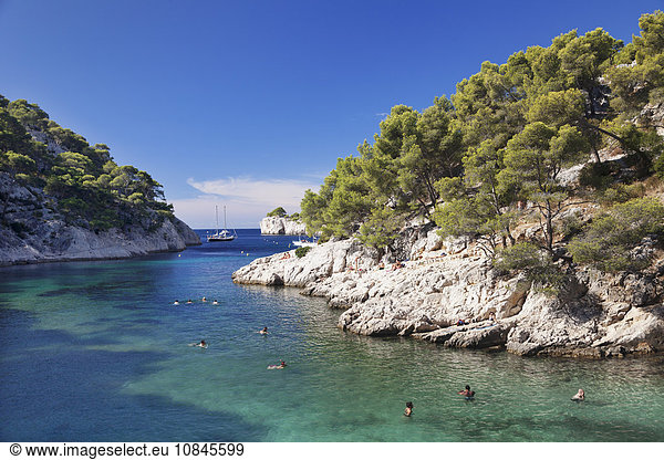 Les Calanques Port Pin  National Park  Cassis  Provence  Provence-Alpes-Cote d'Azur  Southern France  France  Europe