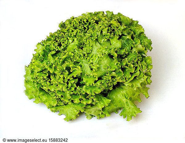 lettuce.