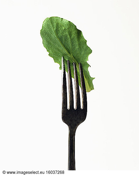 Lettuce leaf on a fork