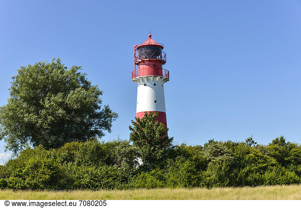 Leuchtturm Falshöft  Geltinger Birk  Schleswig-Hostein  Deutschland  Europa