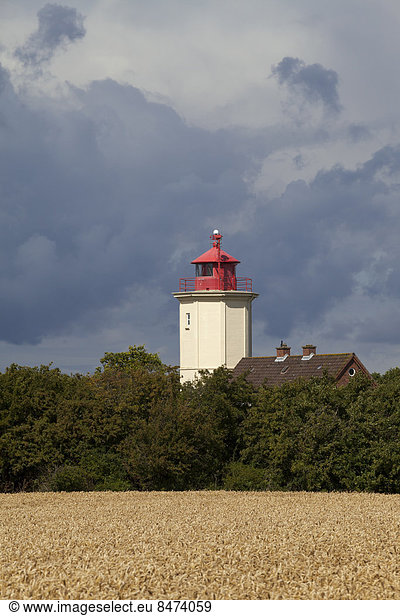 Leuchtturm Westermarkelsdorf lighthouse  Fehmarn island  Schleswig-Holstein  Germany