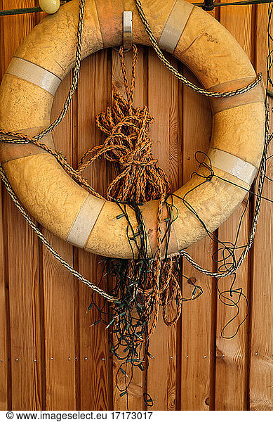Life belt  ropes and Christmas lights hanging on wooden wall