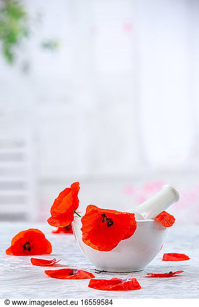 Life style for alternative medicine with red poppy flowers.