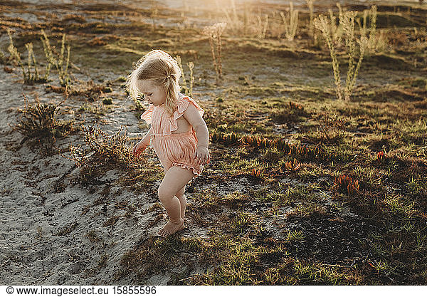 Lifestyle portrait of toddler girl walking away at beach sunset
