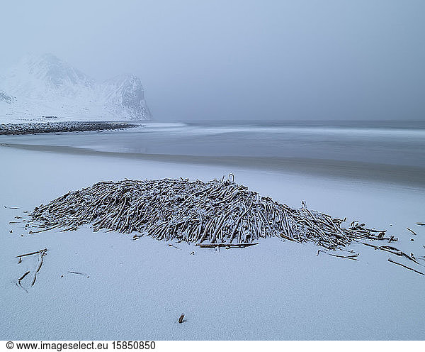 Light snow covers pile of seaweed and sand at Unstad beach  VestvÃ¥gÃ¸y  Lofoten Islands  Norway