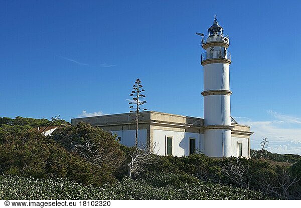Lighthouse at Cap de ses Salines  Majorca  Balearic Islands  Spain  Europe