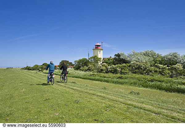 Lighthouse on a dyke  Westermarkelsdorf  Fehmarn Island  Baltic Sea  Schleswig-Holstein  Germany  Europe