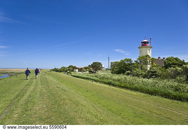 Lighthouse on a dyke  Westermarkelsdorf  Fehmarn Island  Baltic Sea  Schleswig-Holstein  Germany  Europe