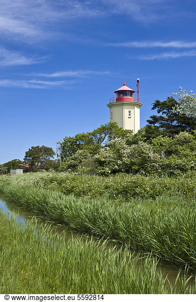 Lighthouse on the dyke  Westermarkelsdorf  Island of Fehmarn  Baltic Sea  Schleswig-Holstein  Germany  Europe