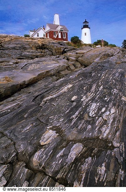 Lighthouse Park Maine