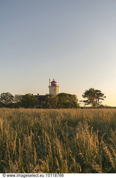 Lighthouse Westermarkelsdorf  Fehmarn  Baltic Sea  Schleswig-Holstein  Germany  Europe