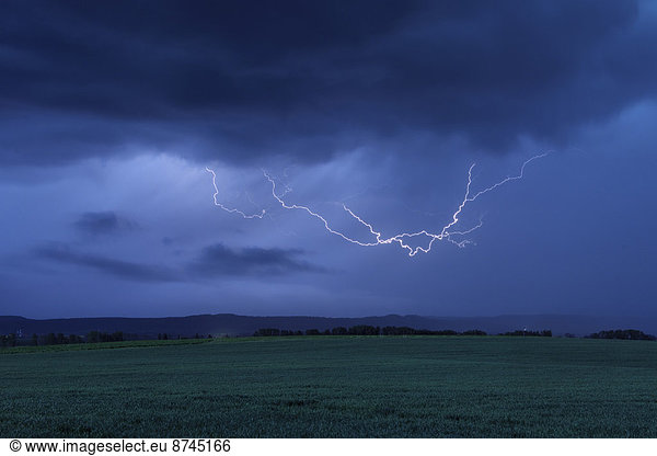 Lightning in Sky over Field. Bavaria  Germany.