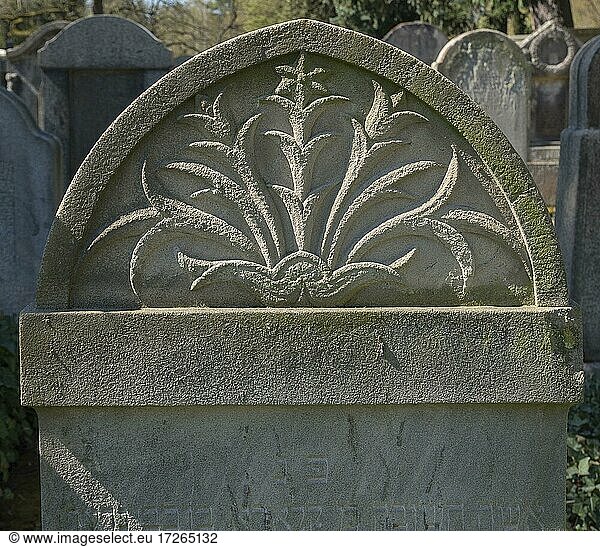 Lilienrelief auf einem jüdischen Grabstein  Symbol der Reinheit und Unschuld  Neuer Jüdischer Friedhof  Nürnberg  Mittelfranken  Bayern  Deutschland  Europa