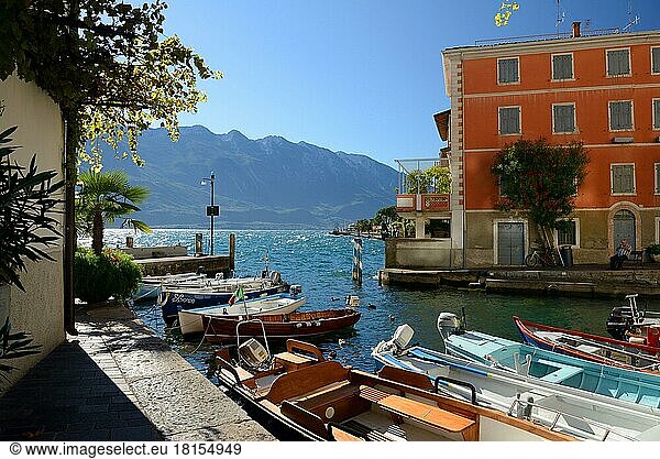Limone sul Garda  Hafen mit Booten  Gardasee  Provinz Brescia  Italien  Europa