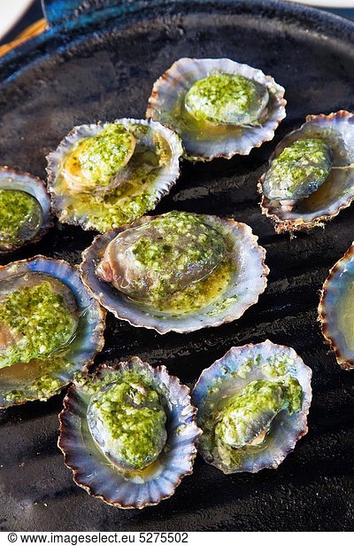 Limpets with green mojo  typical gastronomy  Lanzarote  Canary Islands  Spain