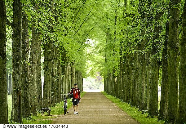 Lindenallee  Herzogin-Eleonore-Allee  Französischer Garten  Celle  Niedersachsen  Deutschland  Europa