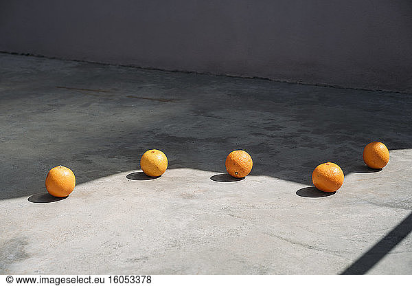 Line of oranges on the edge of a shadow