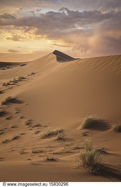Linien und Dünen in der Wüste Sahara