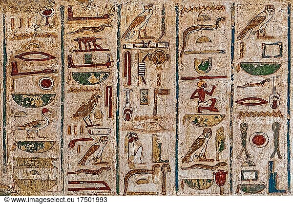 Liste von Hieroglyphen  Grab des Userhat  Gräber der Noblen  Luxor  Theben-West  Ägypten  Luxor  Theben  West  Ägypten  Afrika