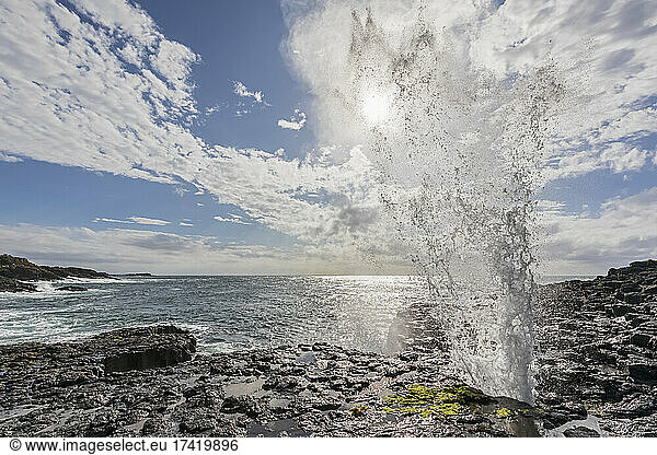 Little Blowhole spraying against sky