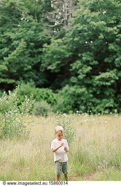 Little boy admiring the wildflowers of New England.